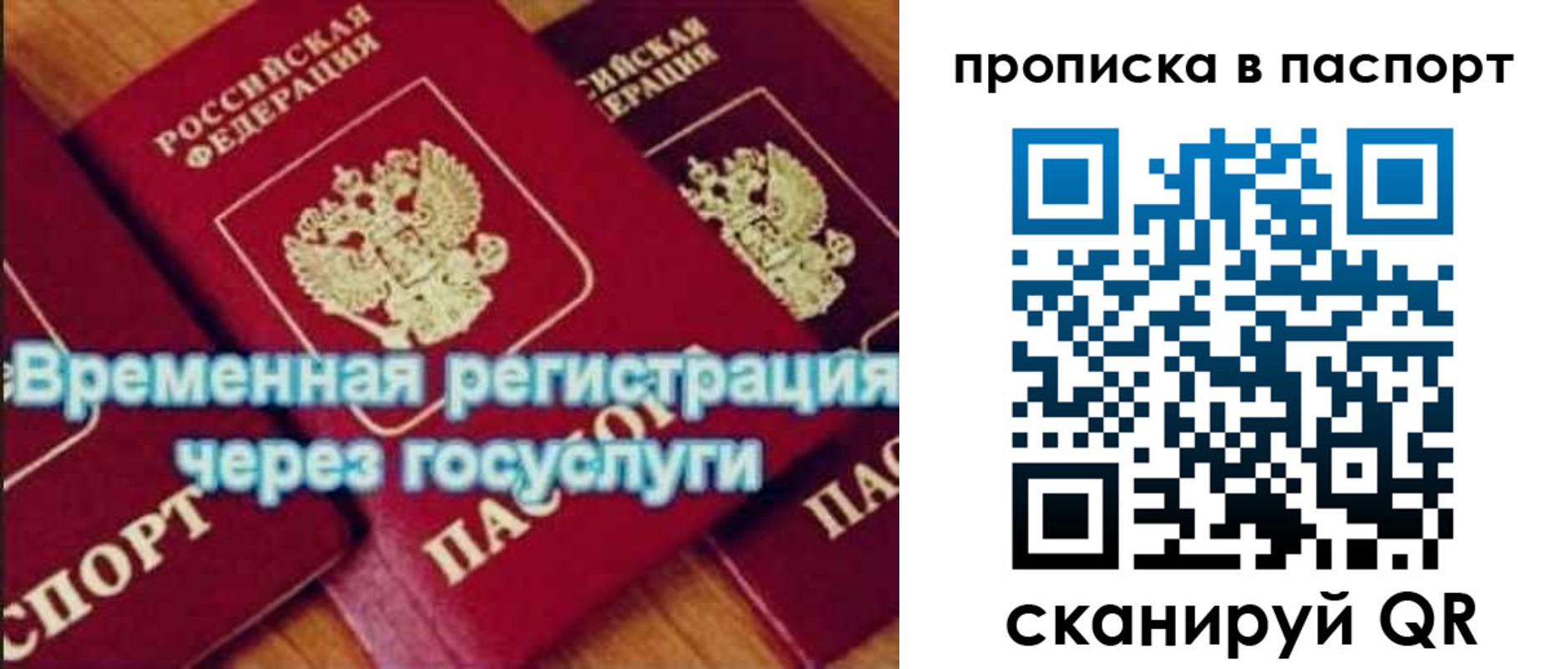 временная регистрация 2025 в Елизово